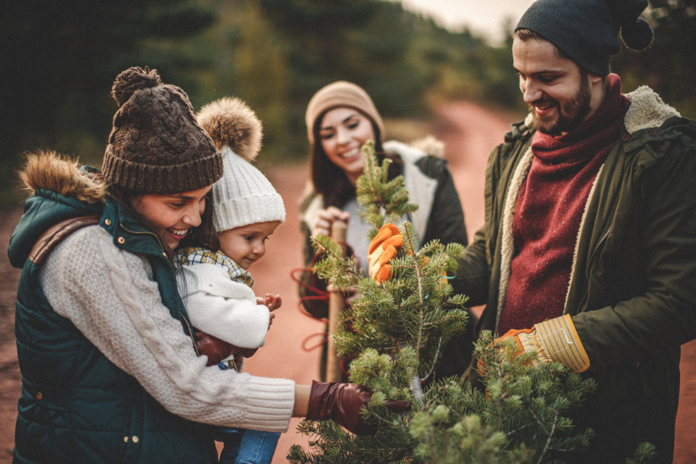 7 Kansas City Christmas Tree Farms
